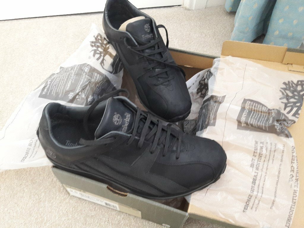 timberland fells trainer